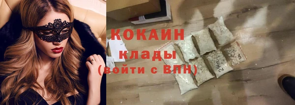 крисы Верхний Тагил