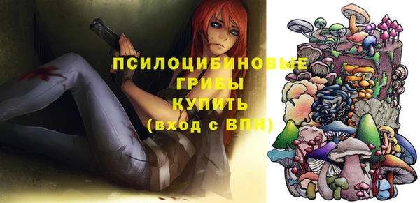 дурь Волоколамск