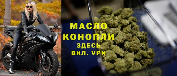 крисы Верхний Тагил